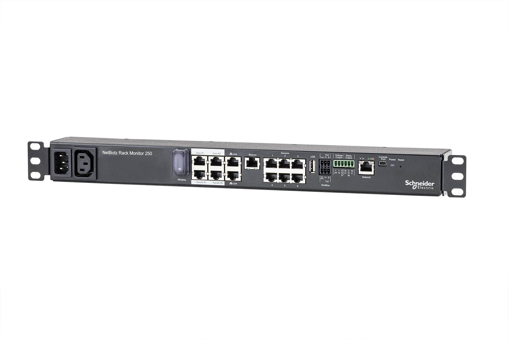 APC NetBotz Rack Monitor 250 - Gerät zur Umgebungsüberwachung - IT - RESELL