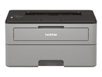 Brother HL - L2350DW - Drucker - s/w - Duplex - Laser - IT - RESELL