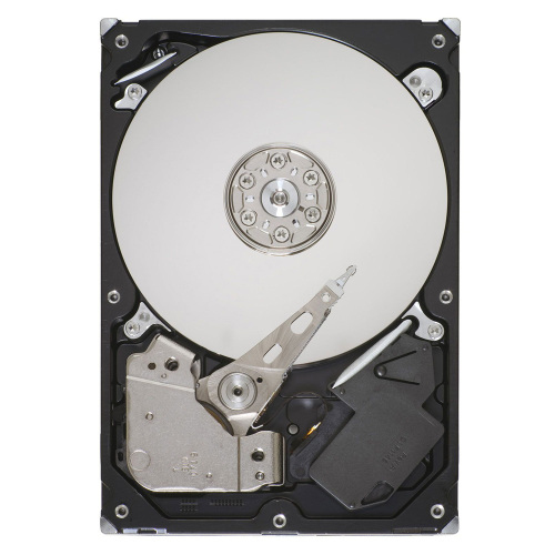 CX424 - Dell  Festplatte - 250 GB - intern - SATA 1.5Gb/s