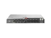 444573-001 - HPE Cisco MDS 9124e Fabric Switch - Switch - 24 x
