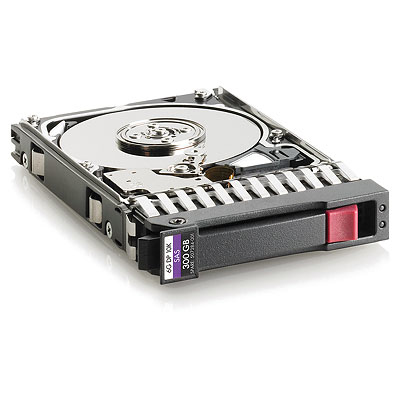 653955-001 - HPE Dual Port Enterprise - Disco duro - 300 GB - 2.5" SFF (6.4 cm SFF)