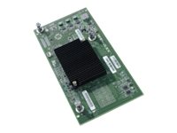 N20-AE0102 - Cisco UCS M72KR-E - Adattatore di rete - PCIe 2.0