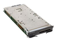 BR-MLX-100GX2-CFP2-X2 - Brocade MLX - Módulo de expansión - 100 Gigabit