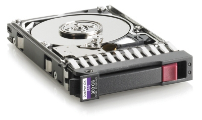 493083-001 - HPE Dual Port - Disco rigido - 300 GB - Hot-Swap - 2.5" SFF (6.4 cm SFF)