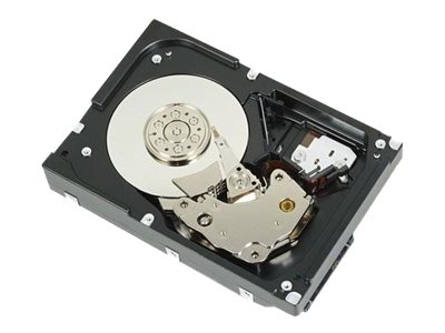 400-AUPW - Dell  Festplatte - 1 TB - intern - 3.5" (8.9 cm)