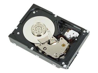 400-19599 - Dell  Festplatte - 300 GB - Hot-Swap - 2.5" (6.4 cm)