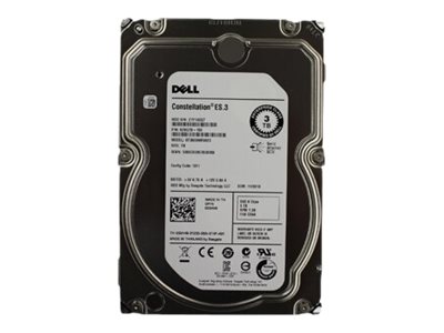 55H49 - Dell Seagate - Festplatte - 3 TB - intern - 3.5" (8.9 cm)