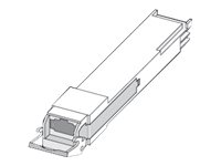 10406 - Extreme Networks QSFP28 receiver module - 100
